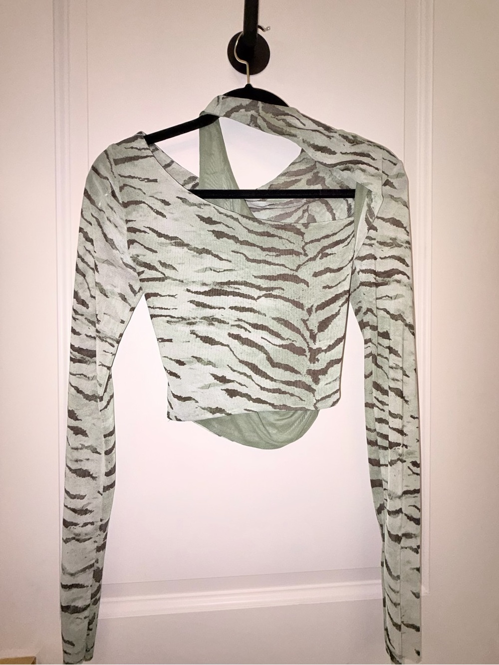 ZARA Shear long Sleeve Zebra-Print Crop Top in Sage Green